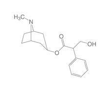 L-Hyoscyamin