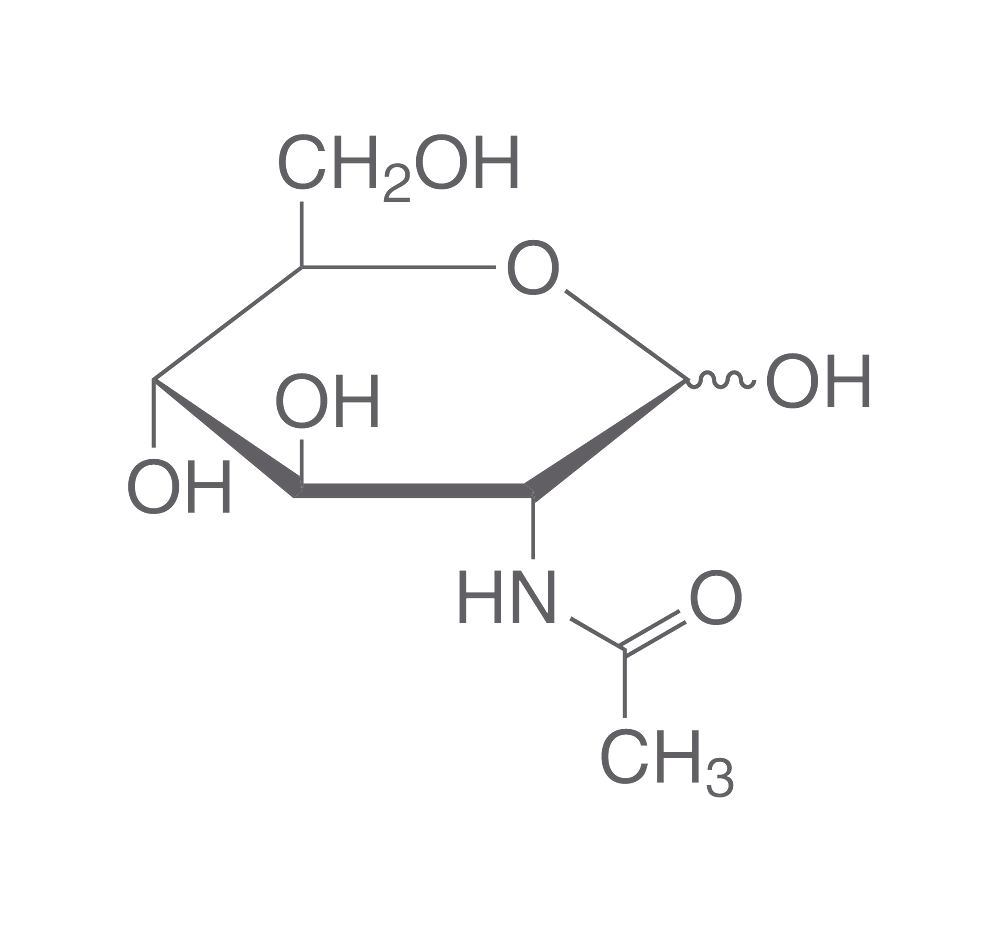 N Acetyl D glucosamin, 20 g, Kunst.   Monosaccharide ...