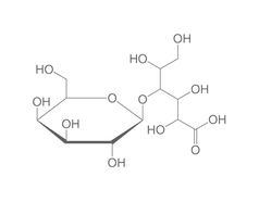 Lactobionsäure, 10 g