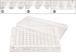 Toebehoren Deksel voor microtestplaten ROTILABO<sup>&reg;</sup>