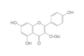 Kaempférol-3-glucoside