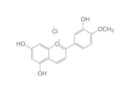Diosmetinidin chloride