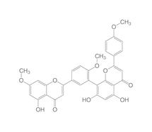 Sciadopitysin, 10 mg, Glas