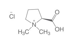 Stachydrine hydrochloride, 20 mg