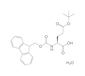 Fmoc-L-Glutamic acid-(OtBu) monohydrate, 25 g