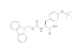 Fmoc-L-Tyrosine-(tBu), 100 g