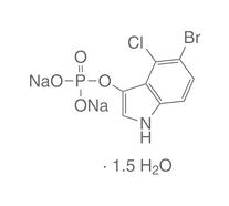 5-Bromo-4-chloro-3-indolyl phosphate disodium salt, 500 mg