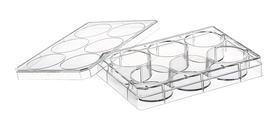 Cell culture plates CELLSTAR<sup>&reg;</sup> sterile, Wells: 6