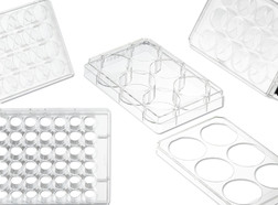 Cell culture plates CELLSTAR<sup>&reg;</sup> sterile, Wells: 24