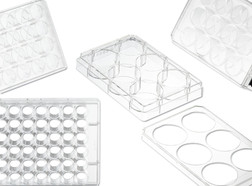 Cell culture plates CELLSTAR<sup>&reg;</sup> sterile, Wells: 12