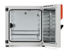 Incubator BD series with natural air circulation (convection), 112 l, BD 115