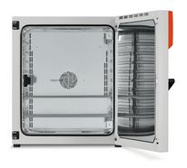 Incubator BF series with forced air circulation (fan), 257 l, BF 260