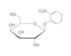 2-Nitrophenyl-&beta;-D-galactopyranoside, 10 g