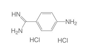 4-Aminobenzamidin Dihydrochlorid, 10 g, Kunst.