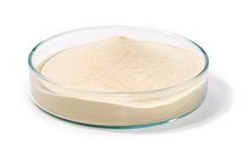 Yeast Extract Agar, 1 kg