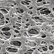 Membranfilter Express<sup>&reg;</sup> PLUS PES, 0,22 µm, &#216;: 47 mm