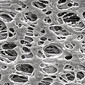 Filtres à membrane Express<sup>&reg;</sup> PLUS PES, 0,22 µm, &#216;: 47 mm