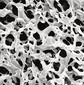 Membrane filters Durapore<sup>&reg;</sup> PVDF hydrophobic, 0,45 µm, &#216;: 47 mm