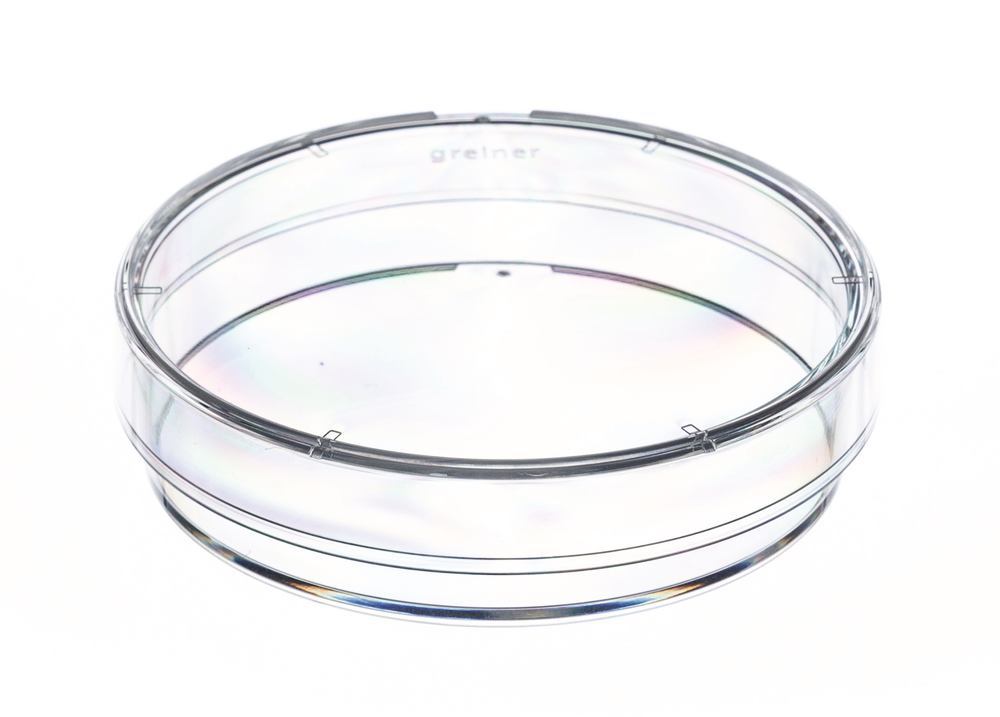 Facibom 10 Stueck 35mm x 10mm Sterilen Plastik Petrischalen mit Deckel Fuer LB Platte Hefe（Transparent Color 