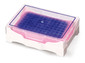 Kühlbox ROTILABO<sup>&reg;</sup> PCR, violett nach pink