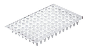 PCR trays 96 well, Low Profile, without rack