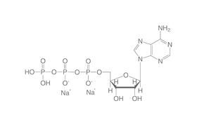 Adenosin-5'-triphosphate disodium salt (ATP), 5 g