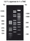 Agarose Super LM, 250 g