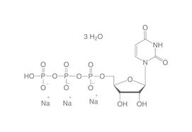 UTP, 100 mg