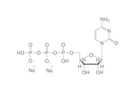 CTP, 1 g