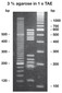 Agarose High Resolution, 100 g