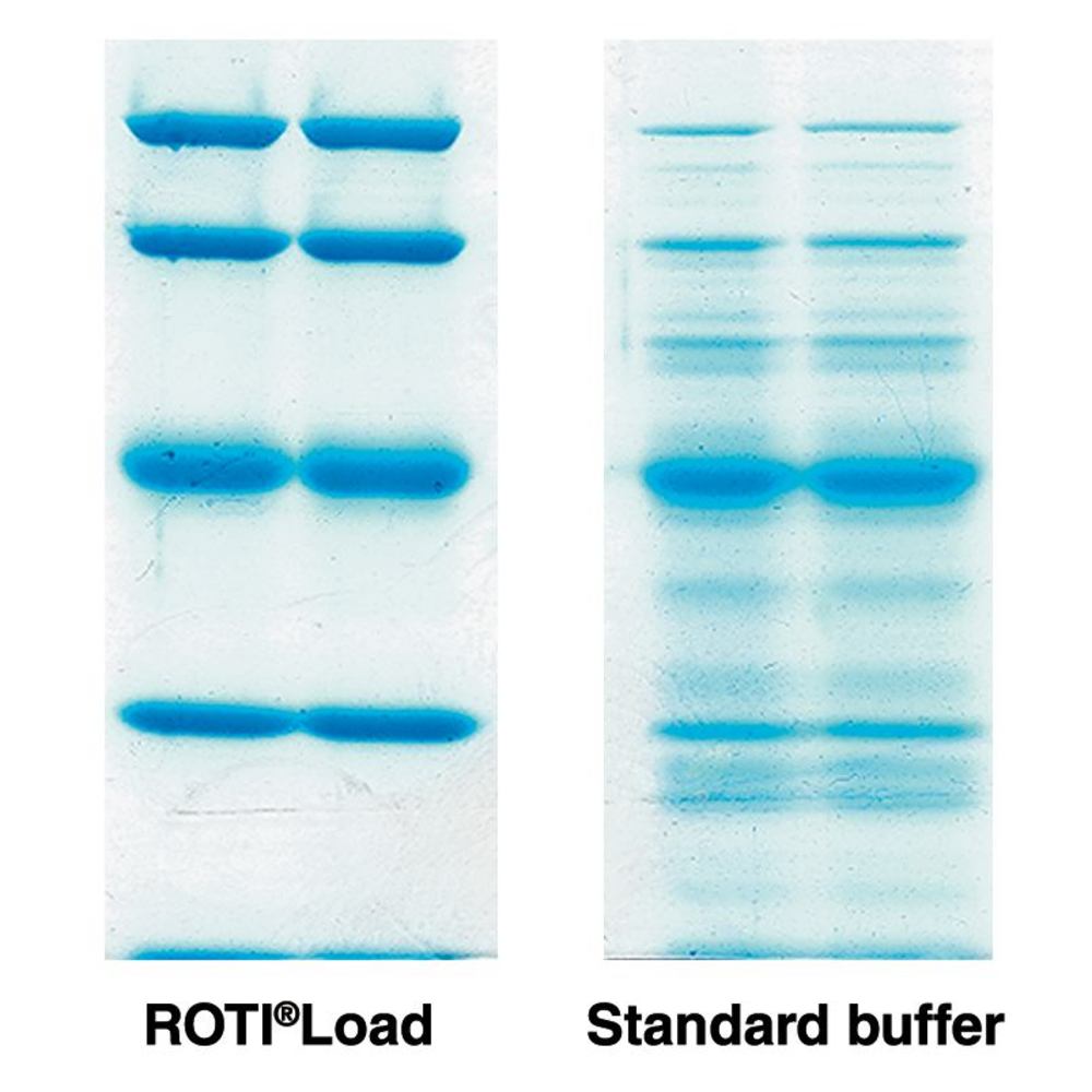 ROTI®Load 3 (LDS), Gelladepuffer für Proteine, Gelladepuffer, Elektrophorese, Life Science