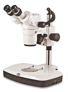 Stereo microscope SMZ-168 Binocular