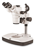 Stereo-Mikroskop SMZ-168 Trinokular