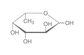 L-Fucose, 5 g