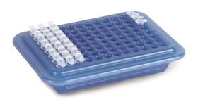Kühlbox PCR, dunkelblau nach hellblau
