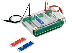 Electrophoresis Unit MIDI 1