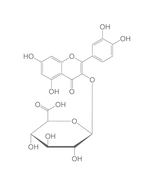 Quercetin-3-<i>O</i>-ß-Glucuronid