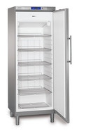 Freezer Model GGv 5860