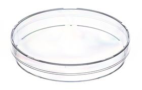 Petri dishes heavy duty version without vents, Non-sterile