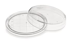 Contact dishes without vents