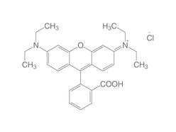 Rhodamine B solution