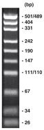 pUC19-Marker ready-to-use, 500 µl, 1 x 0,5 ml