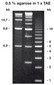 Agarose Broad Range, 100 g