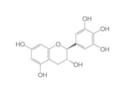 (-)-Gallocatechin, 10 mg