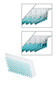 Accessoires adaptateur pour strips et petites plaques PCR adapté au centrifugeur C1001