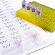 Cryogenic labels on a sheet blue, 38 x 19 mm, Suitable for: 2 ml cryogenic vials