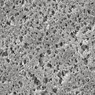 Membraanfilters Nylon, 0,20 µm, &#216;: 47 mm