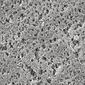 Membranfilter Nylon, 1,20 µm, &#216;: 47 mm