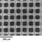 Mesh filter Nylon Circular filters, 41 µm, &#216;: 90 mm