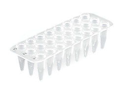 PCR trays 24 well